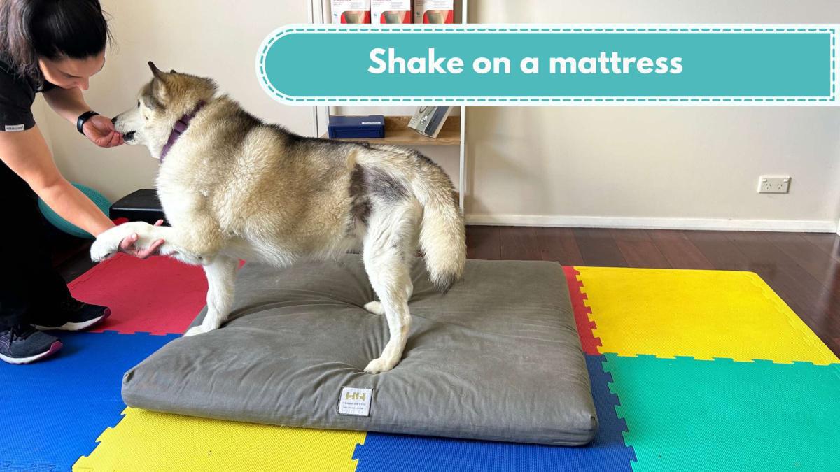 Shake on a mattress