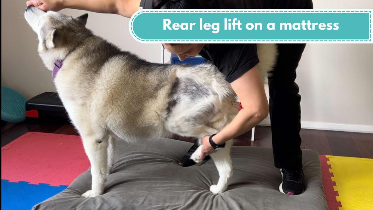 Rear leg lift on a mattress