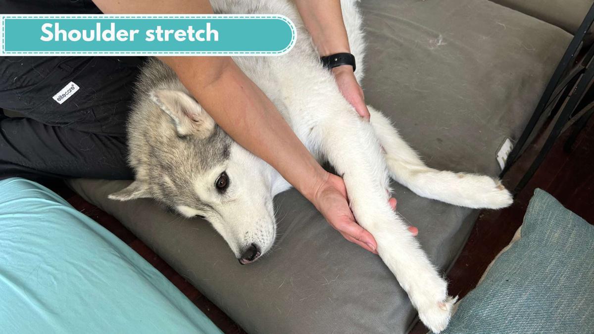 Shoulder stretch