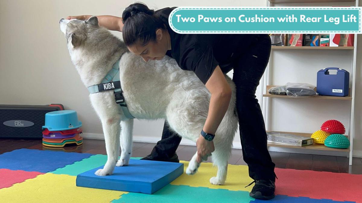 Two up on cushion with rear leg lift