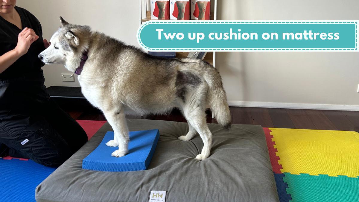 Two up cushion on a mattress