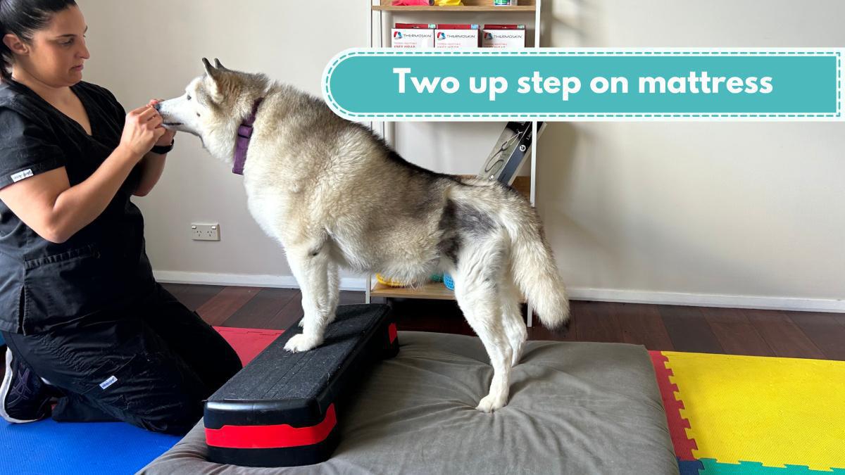 Two up step on a mattress