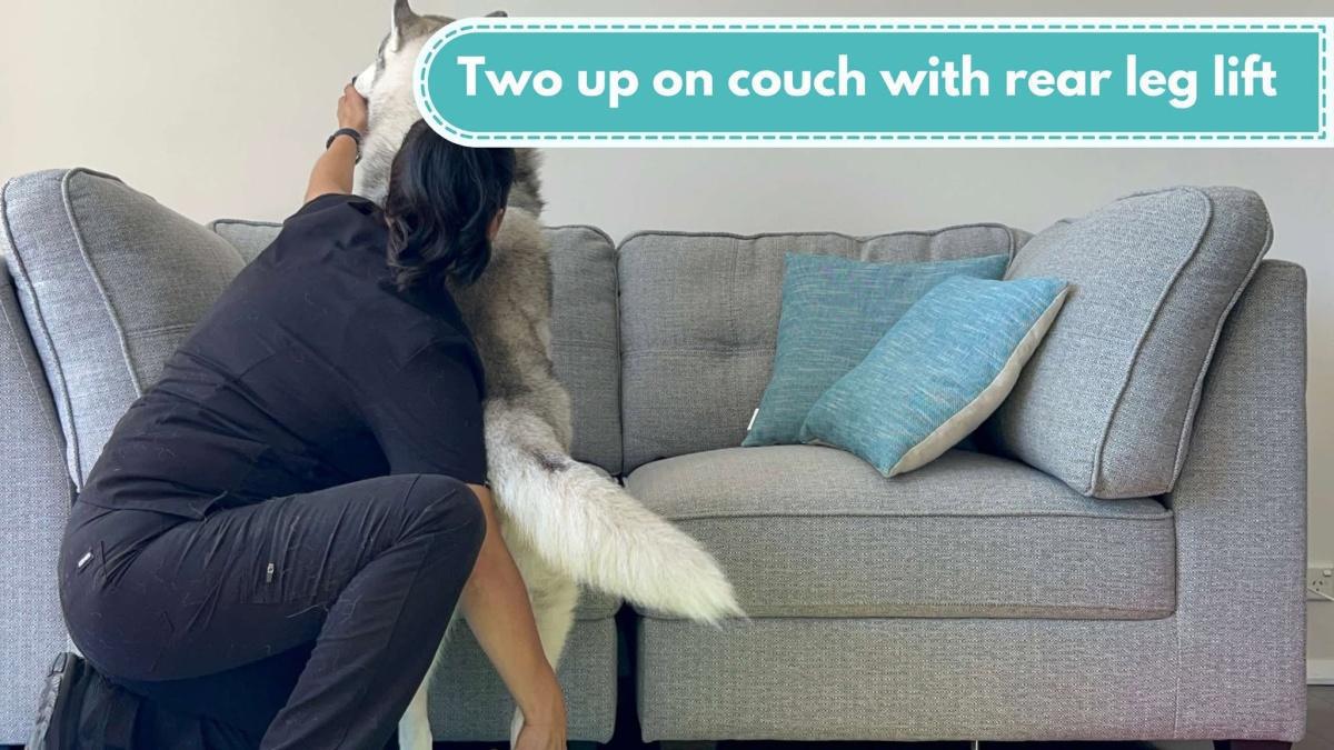 Two up on couch with rear leg lift 