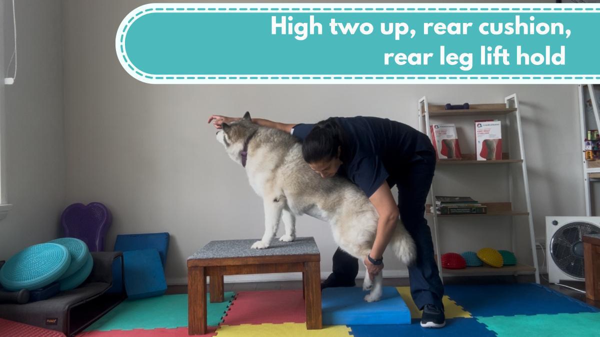 High two up, rear cushion, rear leg lift hold