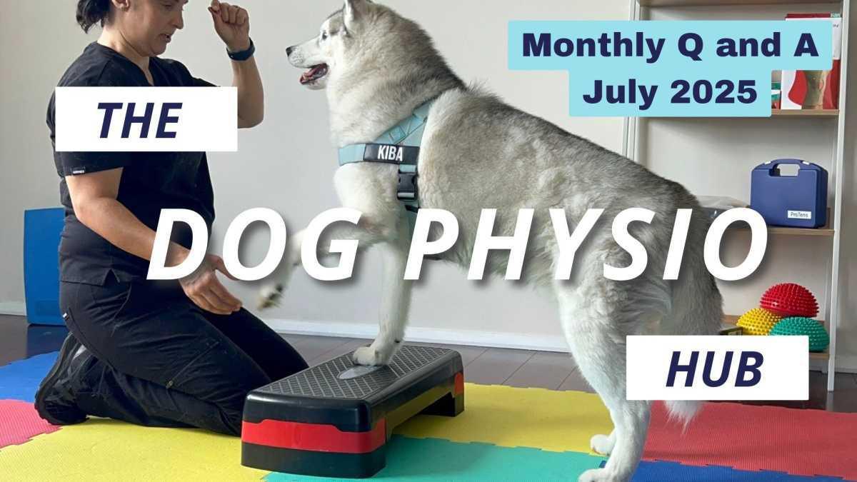Monthly Q and A call - July 2025