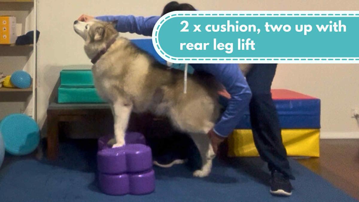 2 x cushion, two up with rear leg lift