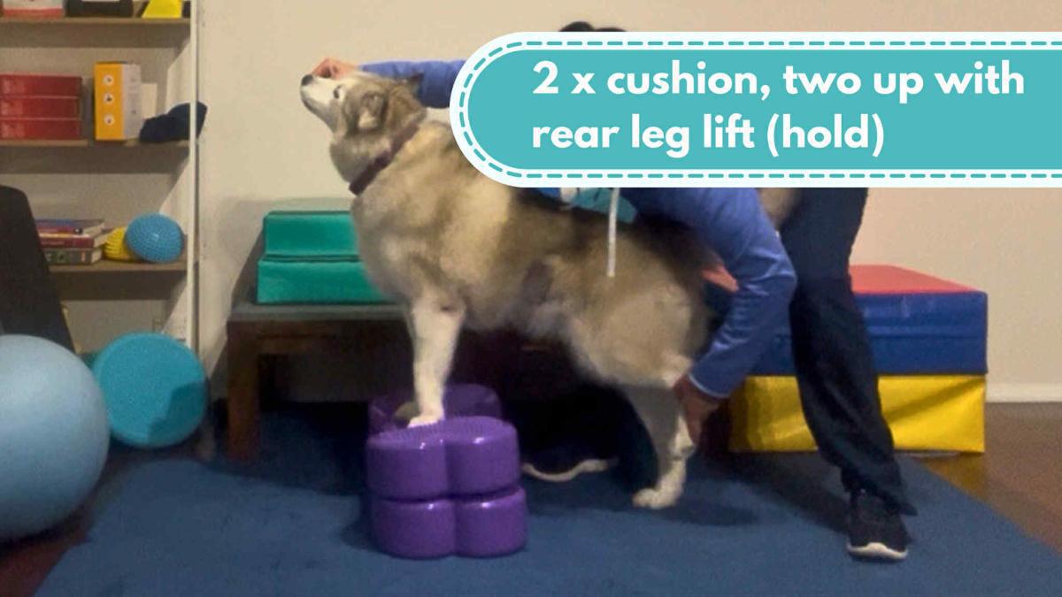 2 x cushion, two up with rear leg lift (hold)