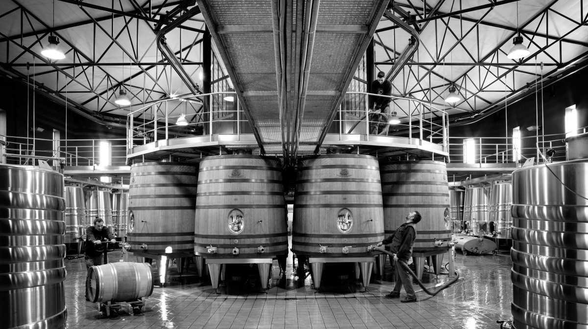 Château Malartic-Lagravière Château Malartic-Lagravière