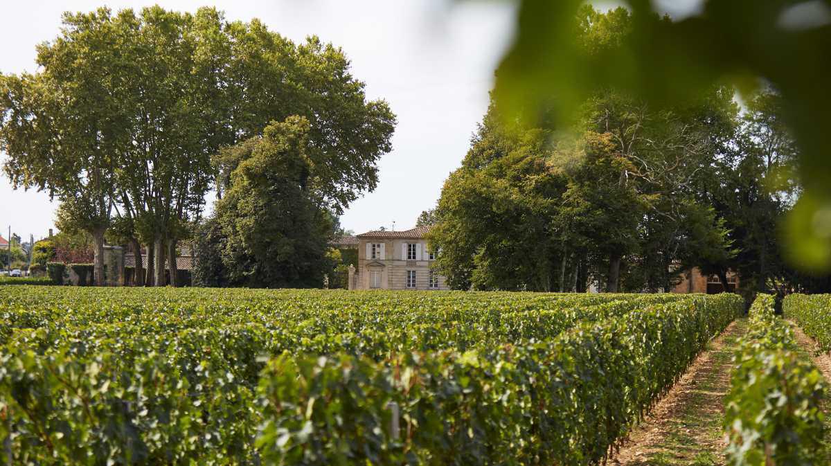 Château Rahoul Château Rahoul