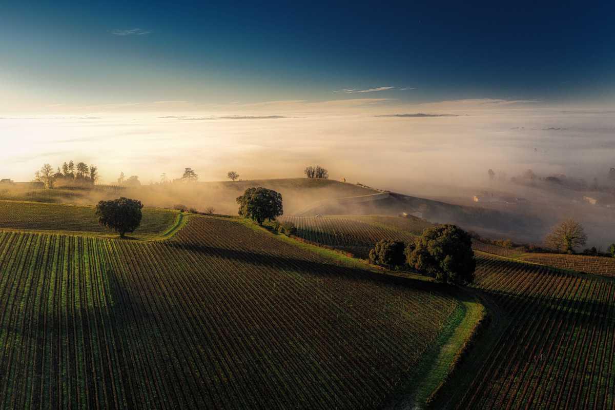 Château Pavie Macquin Château Pavie Macquin