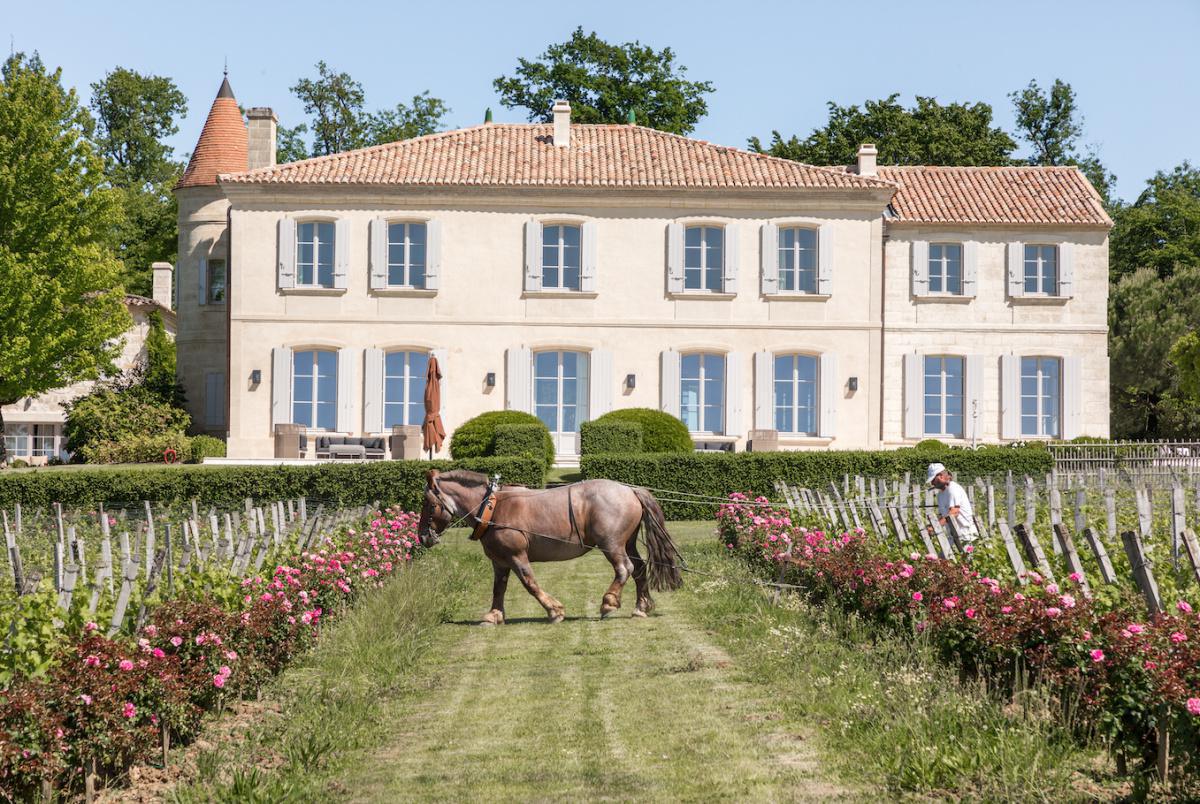 Château Troplong Mondot Château Troplong Mondot