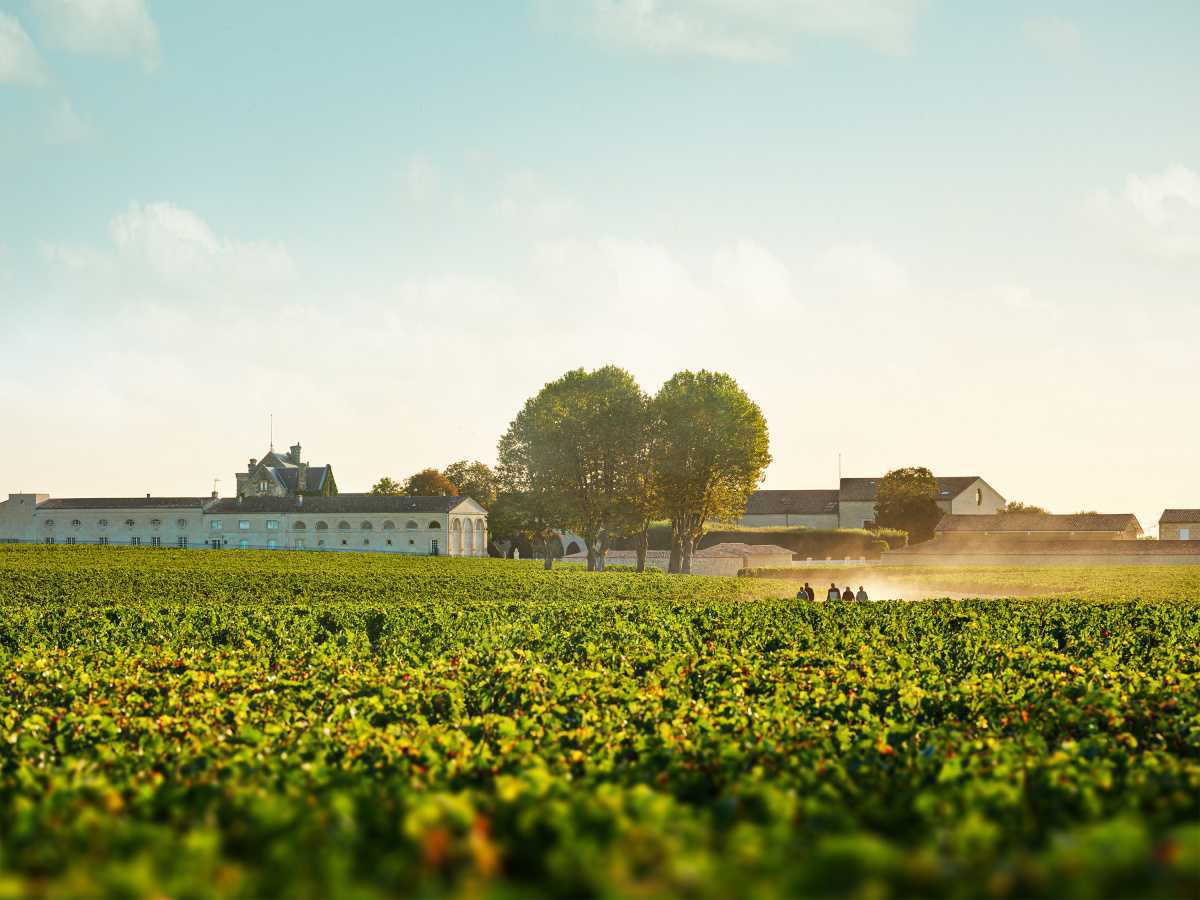 Château Mouton Rothschild Château Mouton Rothschild