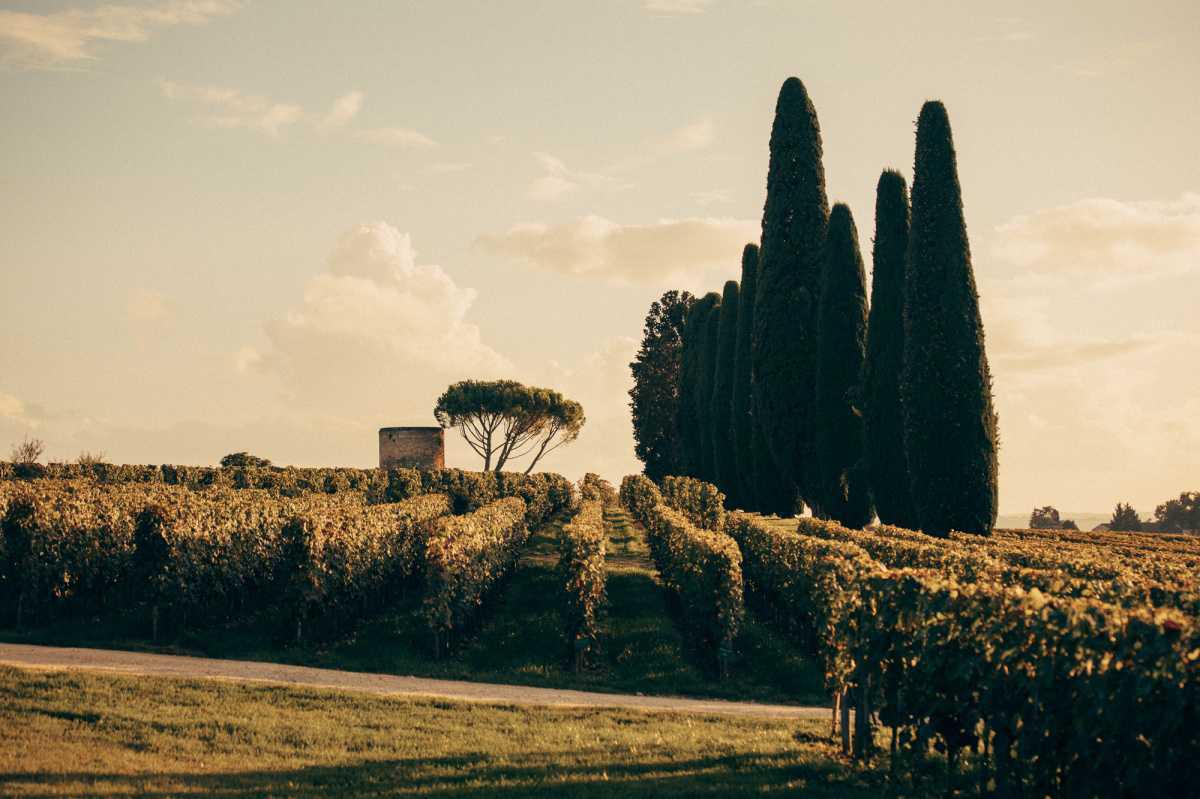 Château Berliquet 2023 Château Berliquet 2023