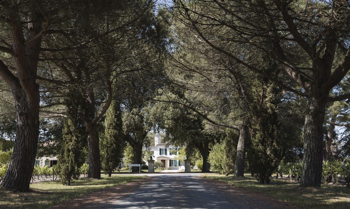 Château Monbrison 2023