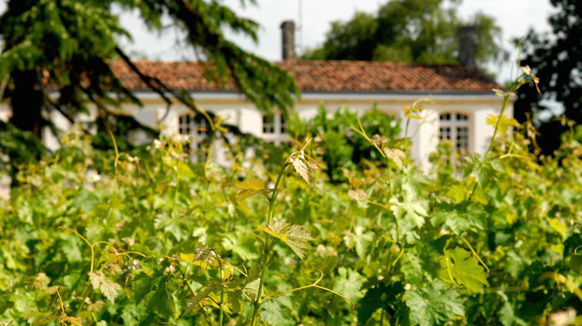 Château Poujeaux 2023 Château Poujeaux 2023