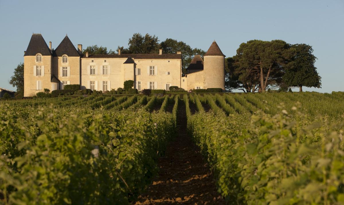 Château d'Yquem 2023