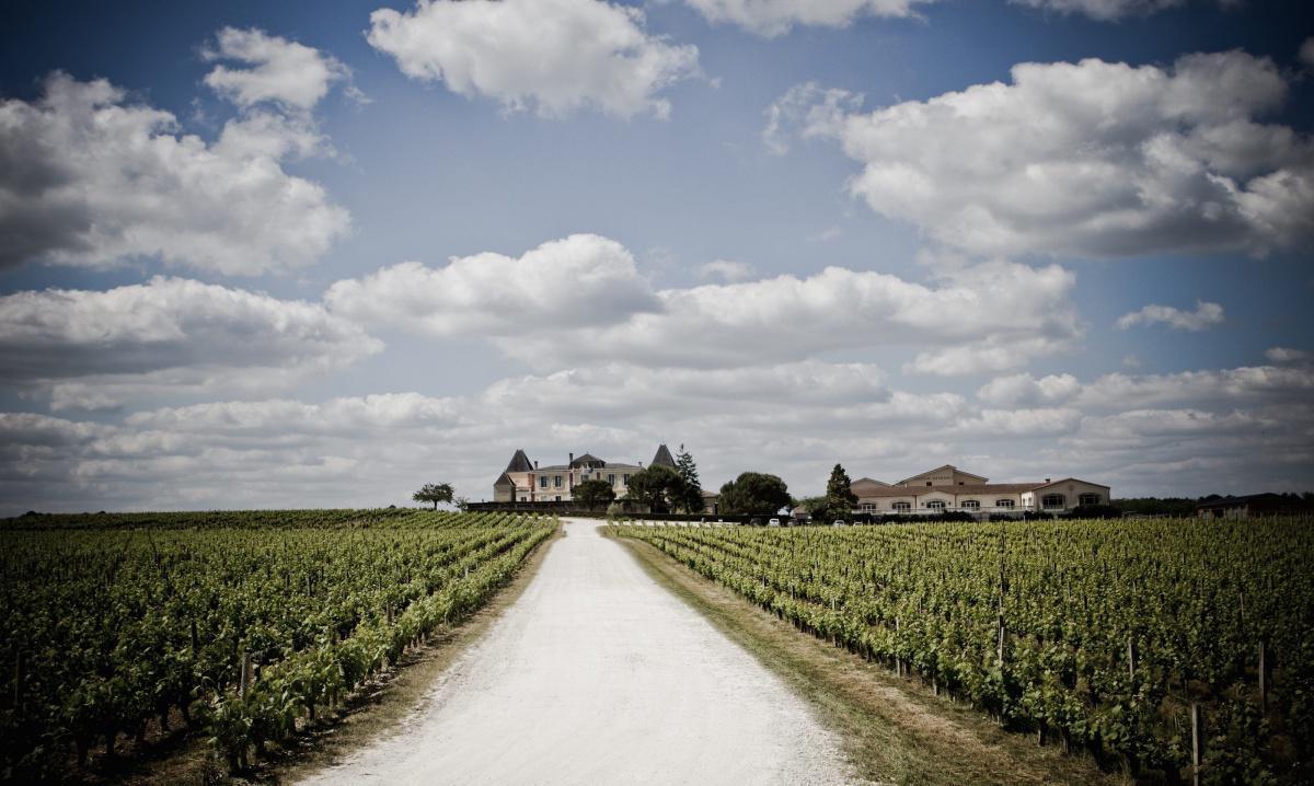 Château de France blanc 2023