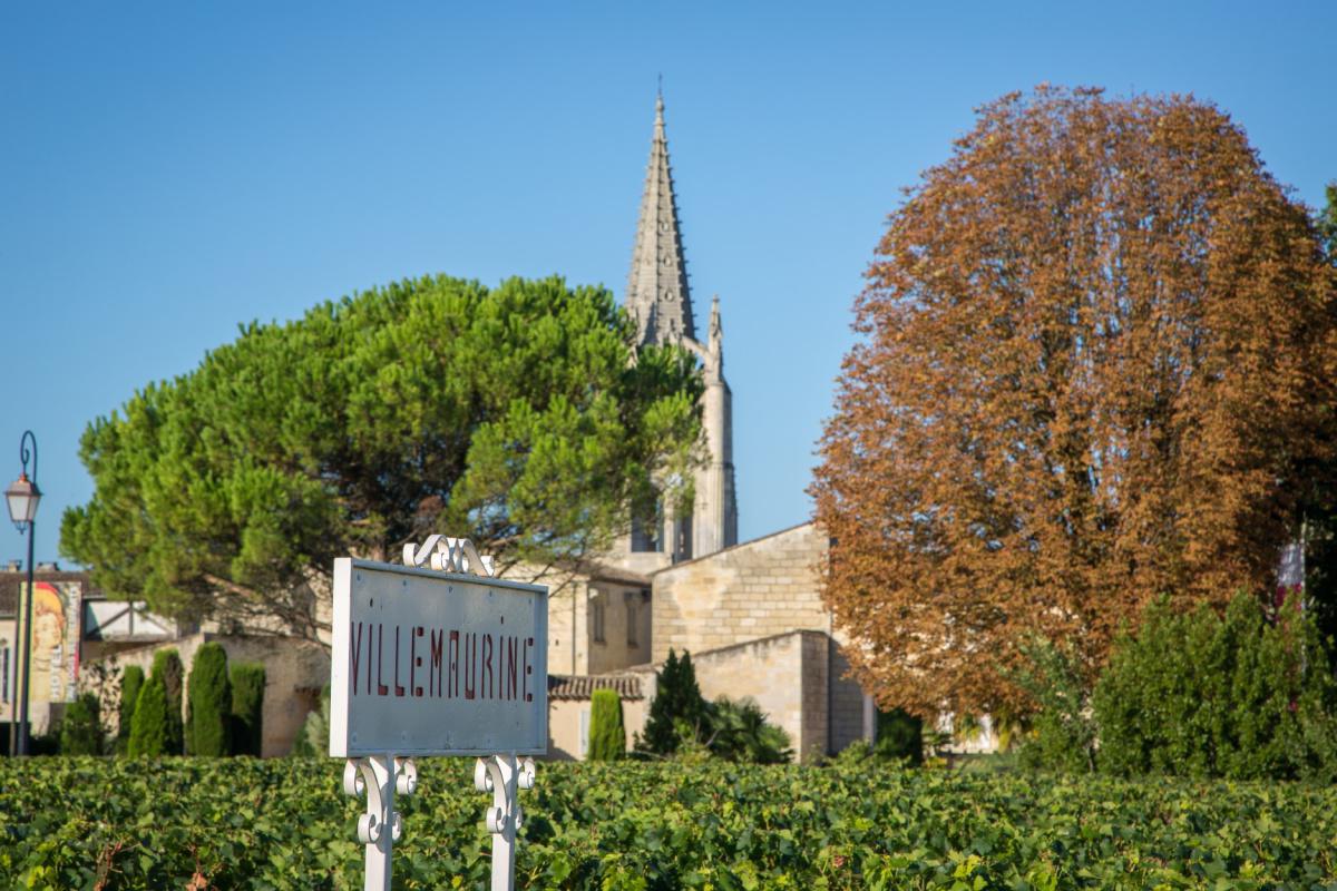 Château Villemaurine EN