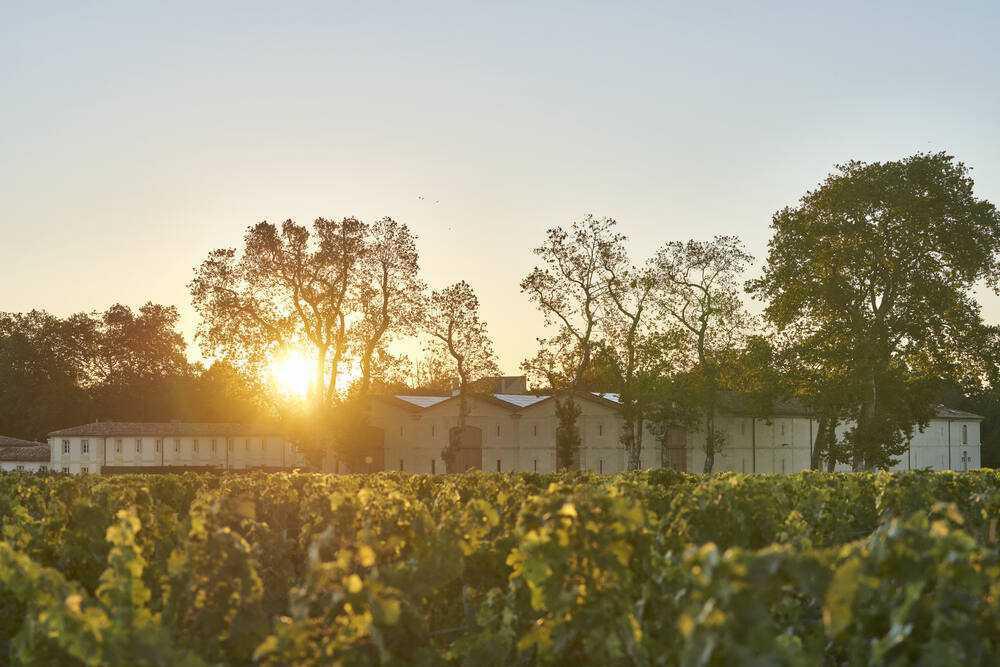 Château d'Armailhac EN Château d'Armailhac EN