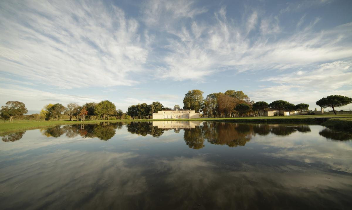 Château Dauzac 2022 EN Château Dauzac 2022 EN