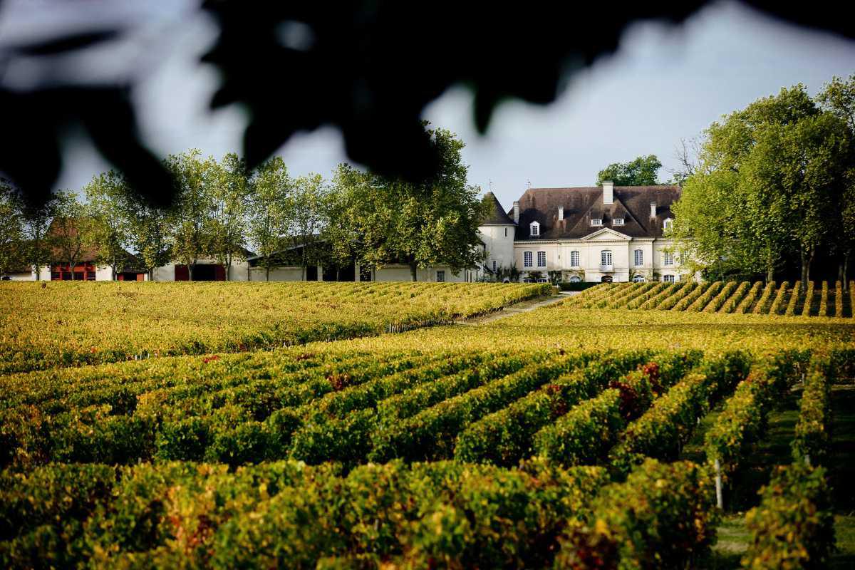 Château Bouscaut EN