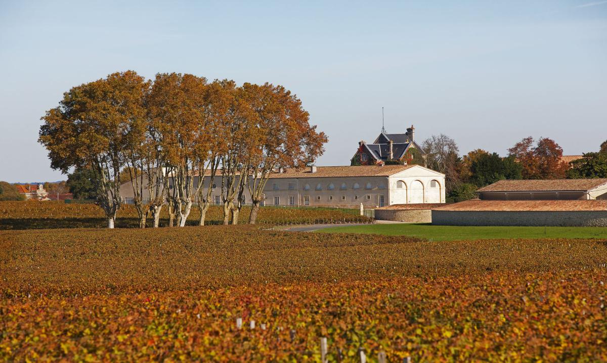 Château Mouton Rothschild EN