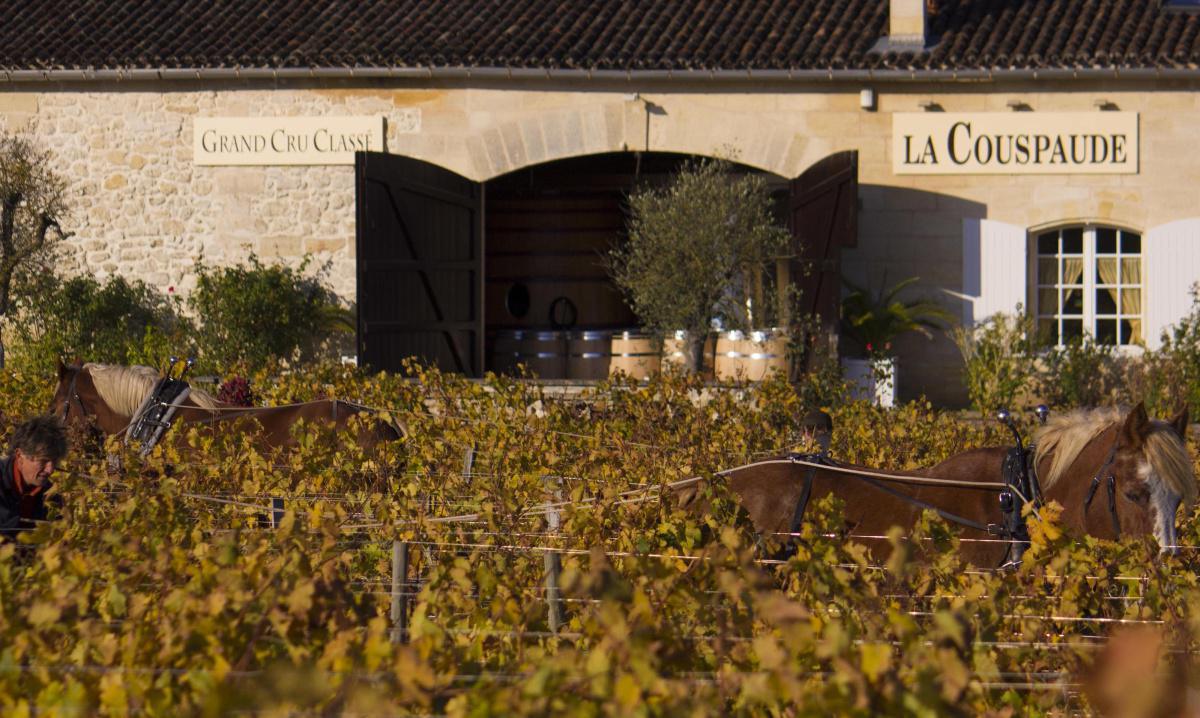 Château La Couspaude 2024 Château La Couspaude 2024