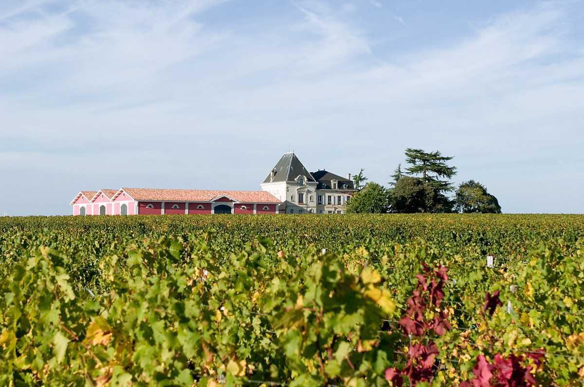Château l'Evangile 2024