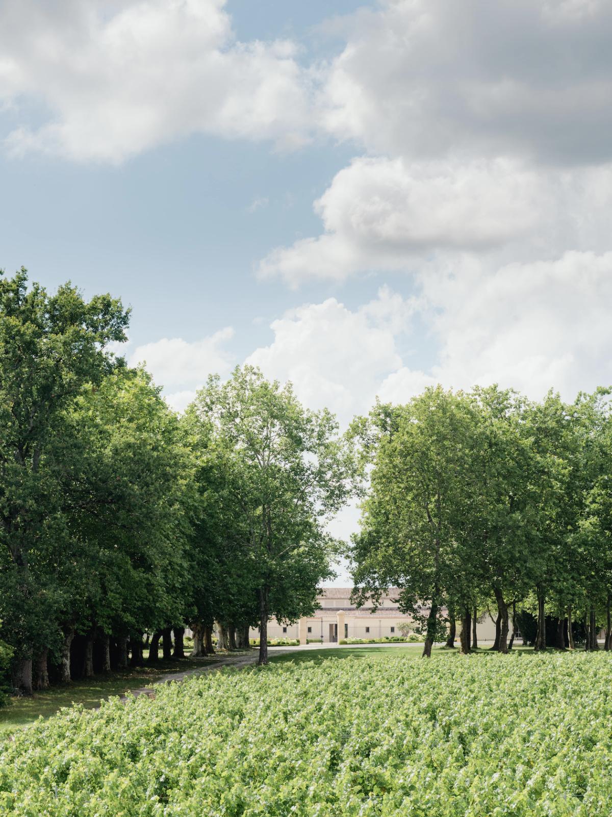 Château de Fieuzal rouge 2024 Château de Fieuzal rouge 2024
