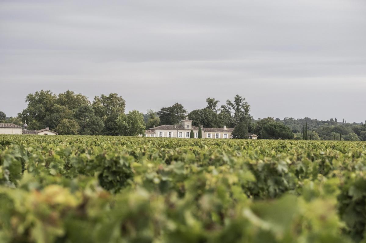 Château Gazin 2024