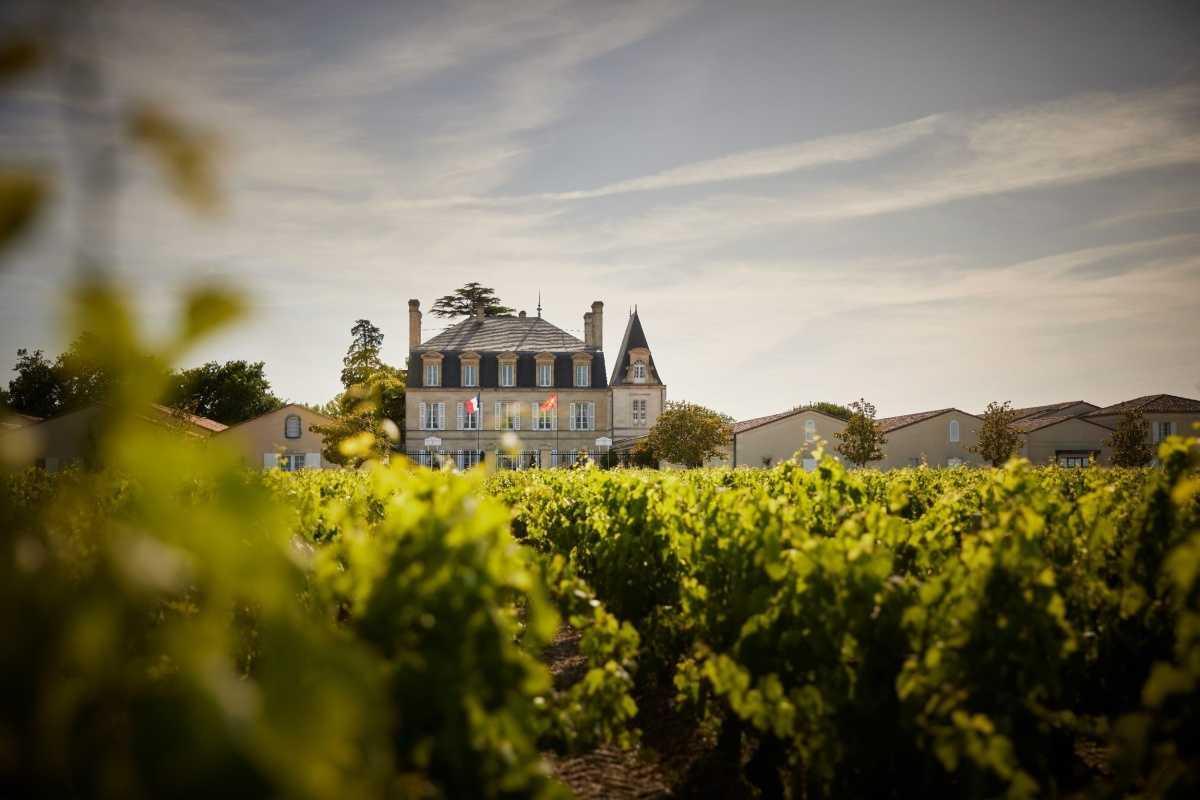 Château Grand-Puy-Lacoste 2024 Château Grand-Puy-Lacoste 2024