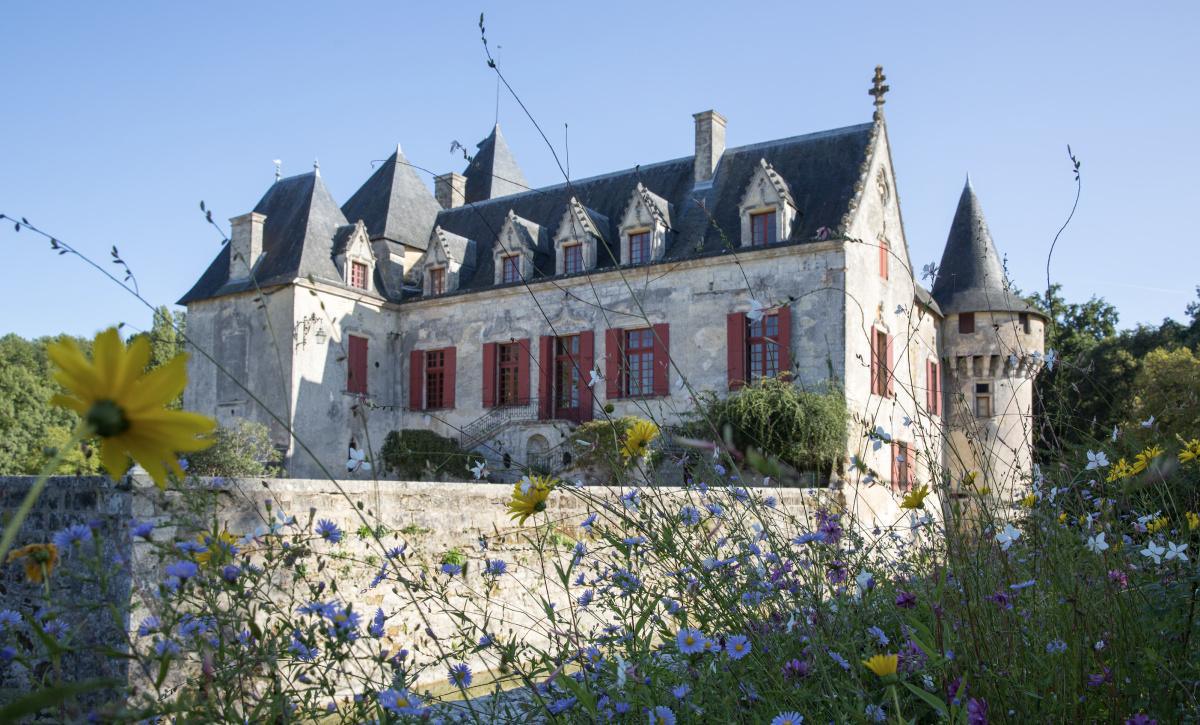 Château Olivier rouge 2024