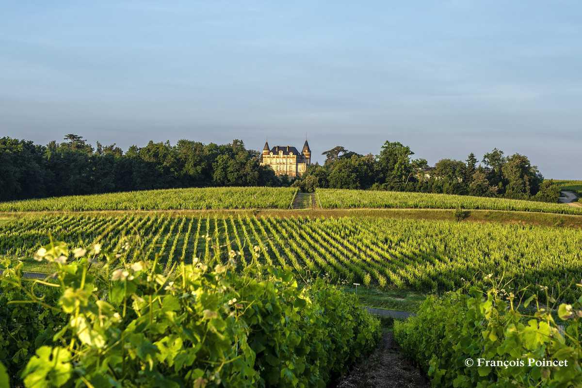 Château de Rayne Vigneau 2024 Château de Rayne Vigneau 2024