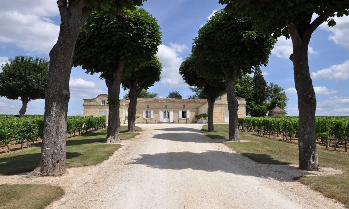 Château TrotteVieille 2024 Château TrotteVieille 2024