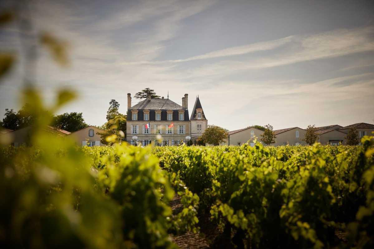 Château Grand-Puy-Lacoste 2025 Château Grand-Puy-Lacoste 2025