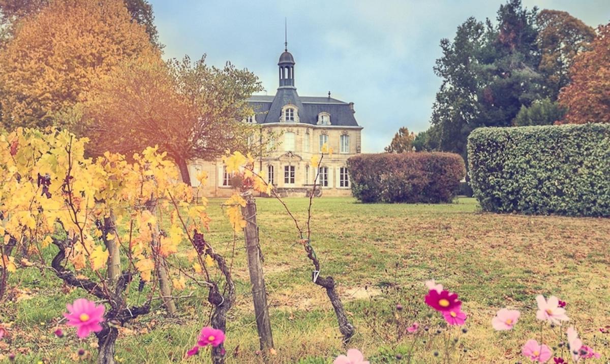 Château Fonréaud 2025 Château Fonréaud 2025