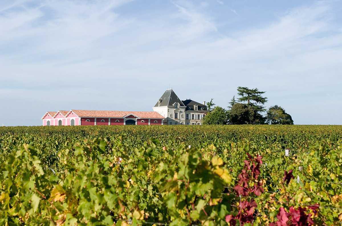 Château l'Evangile 2025