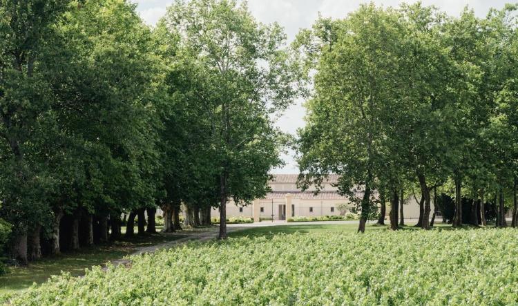 Château de Fieuzal rouge 2024