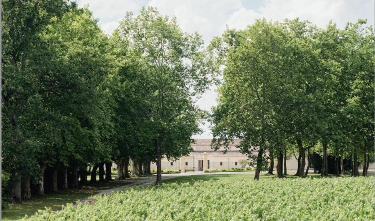 Château de Fieuzal blanc 2024