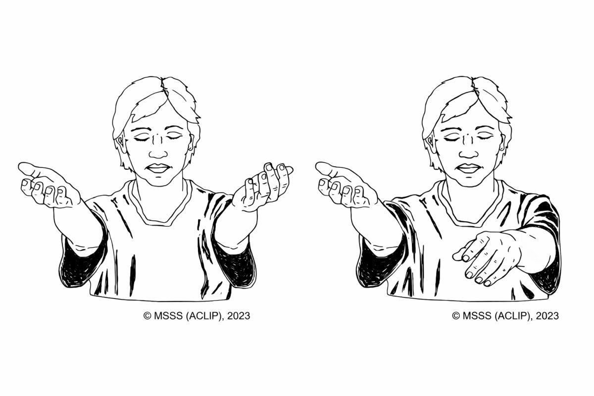 11. Appréciation spécifique : échelle de dépistage de l’AVC – Cincinnati