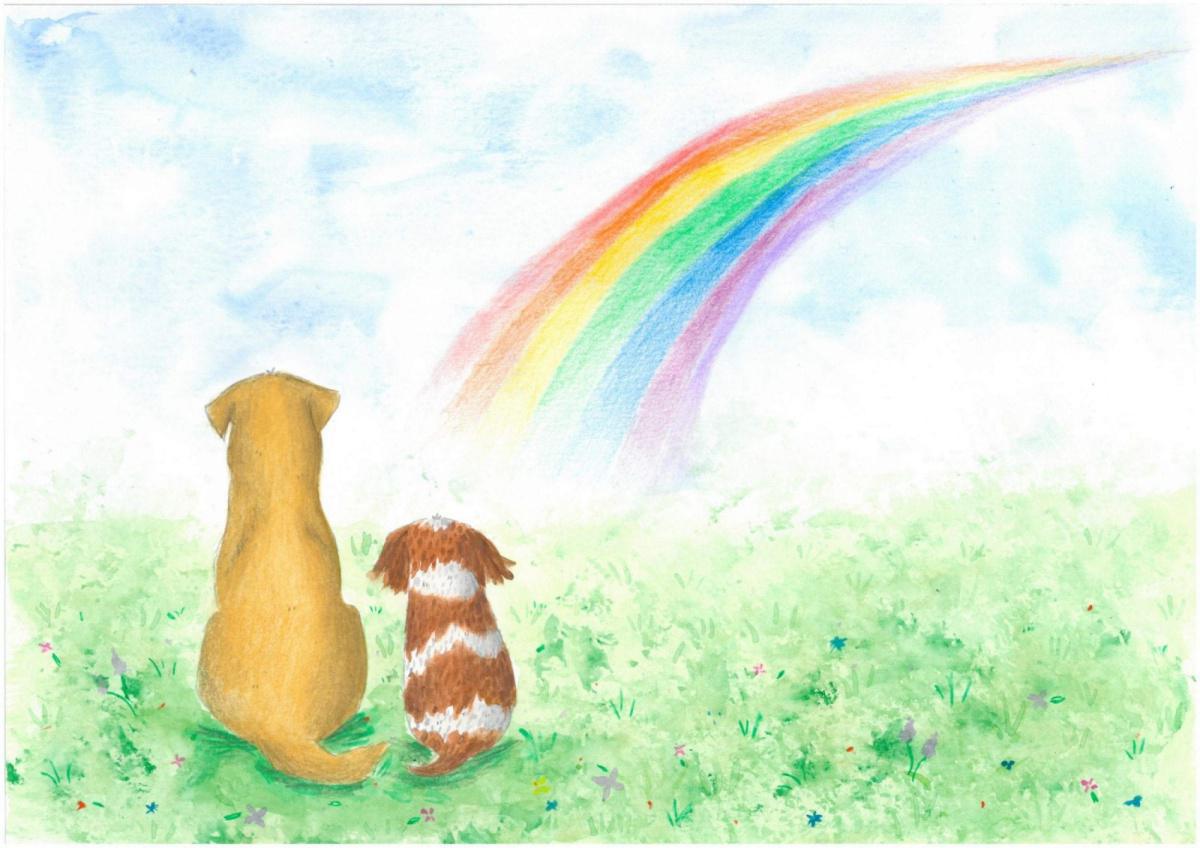 Navigating the Heartache: Understanding Pet Loss and Finding Comfort