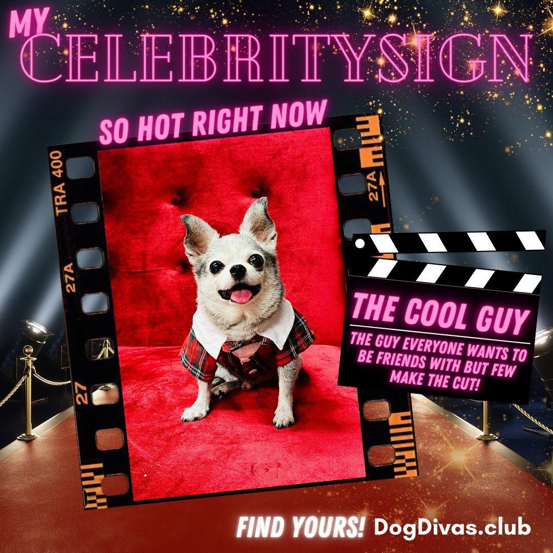 What's Your Dog's Celebrity Sign?