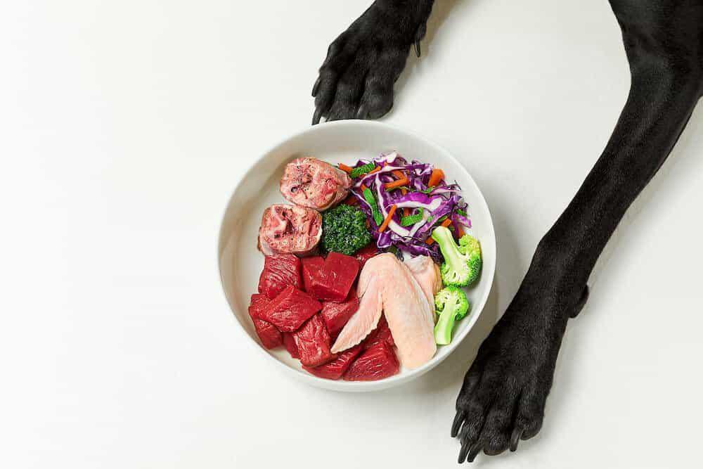 The Reason I Don't Do Raw Feeding The Reason I Don't Do Raw Feeding
