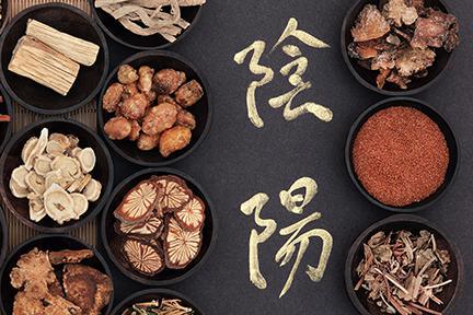 TCM Quiz: Is Your Dog Hot, Cold, or Neutral in Traditional Chinese Medicine?