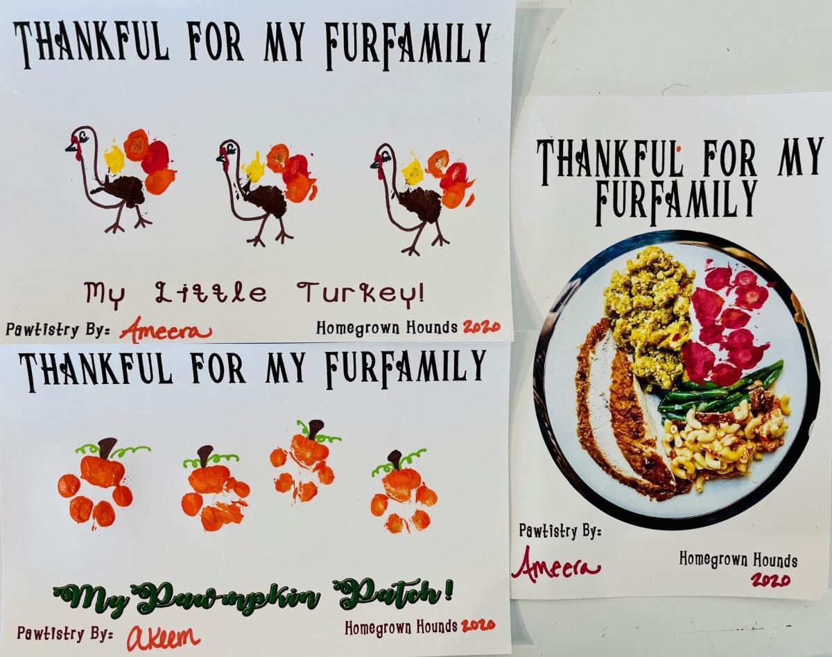 Thanksgiving Placemat & Paw Painting Craft Download!