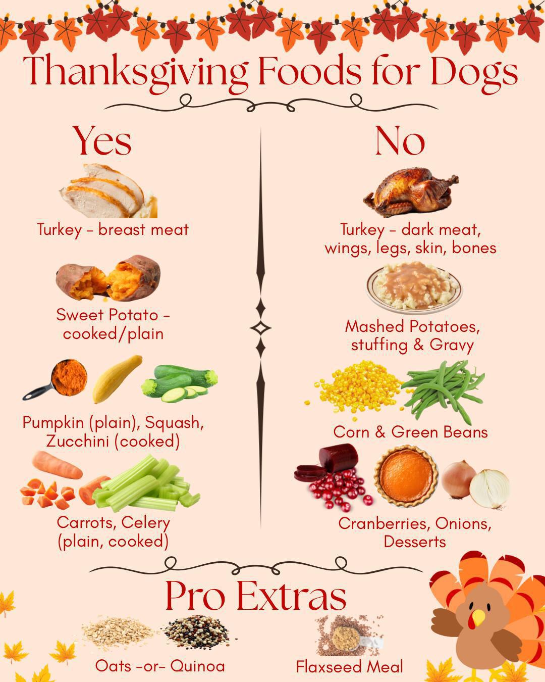 Thanksgiving Foods for Dogs: The Complete Nutritionist Guide