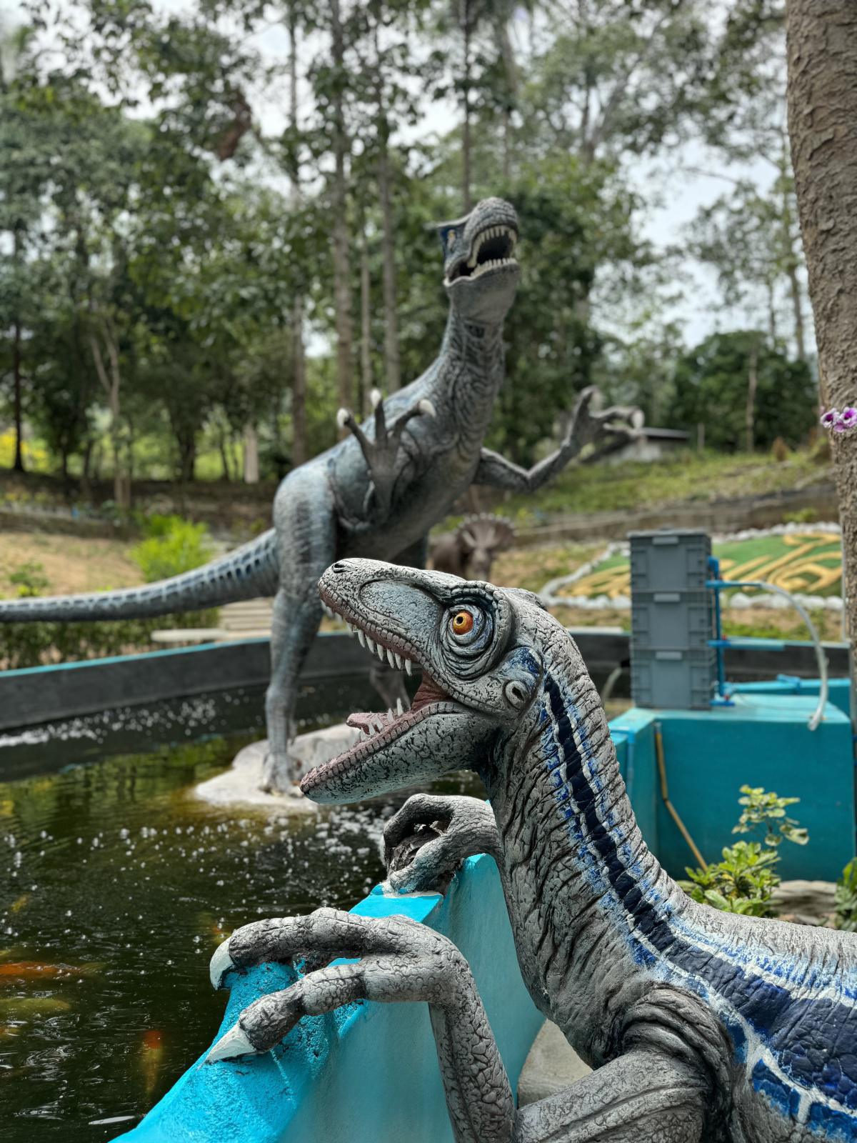 SAIYOR GARDEN