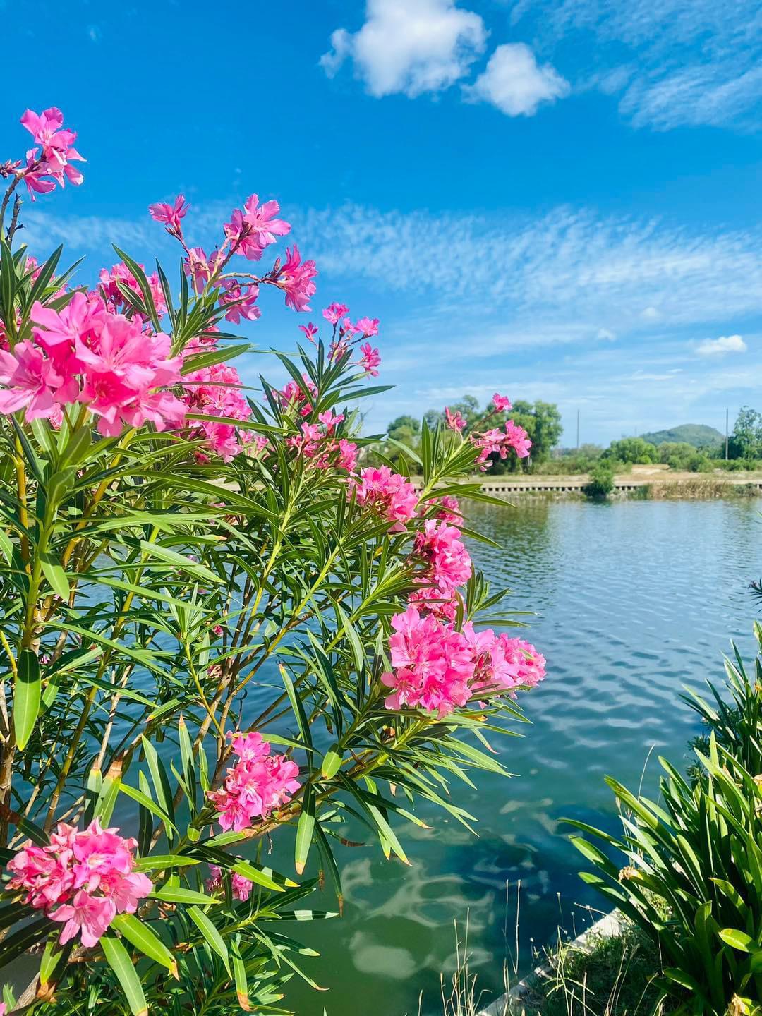 CHAWENG LAKE CHAWENG LAKE