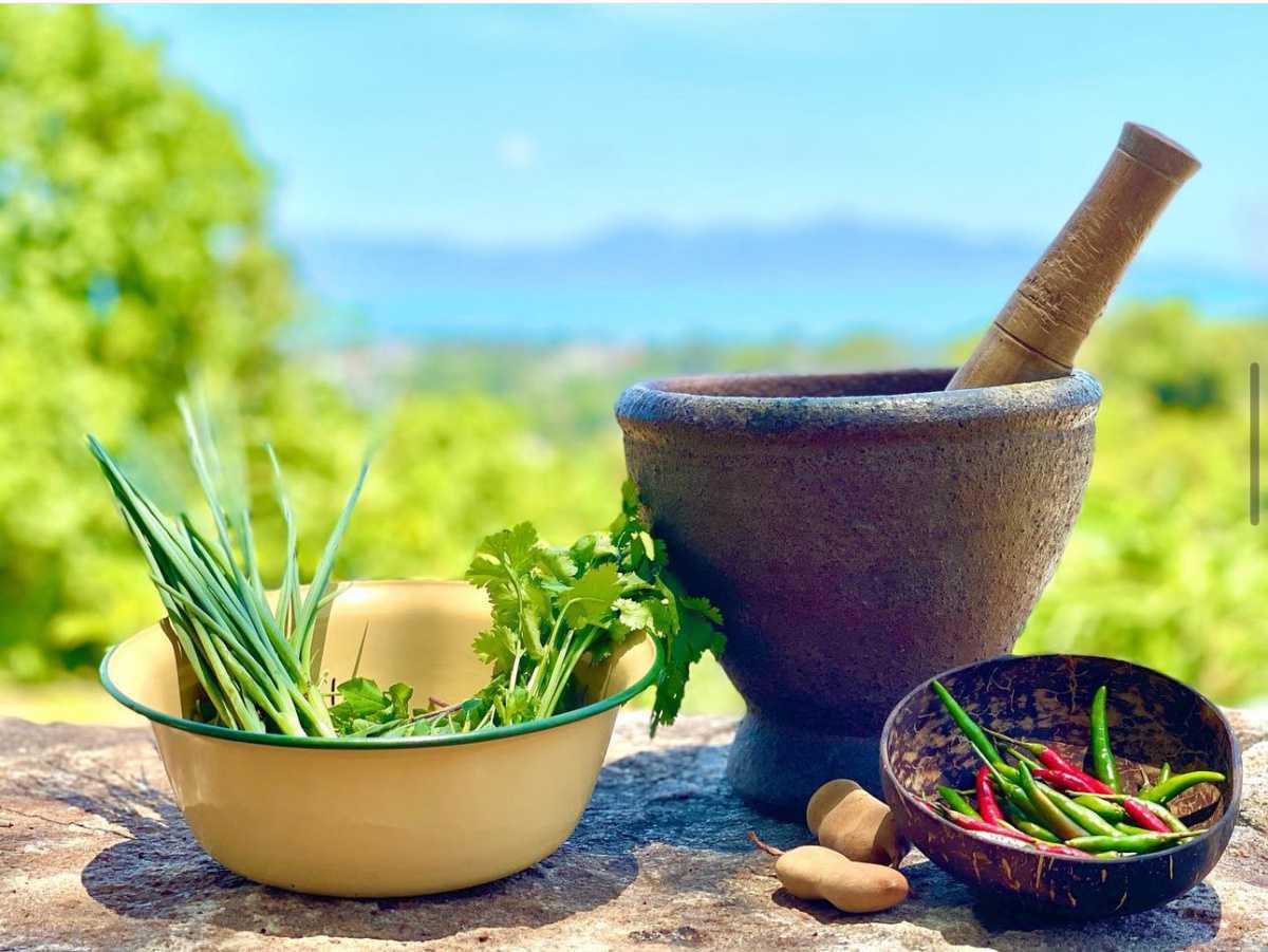 JUNGLE KITCHEN JUNGLE KITCHEN