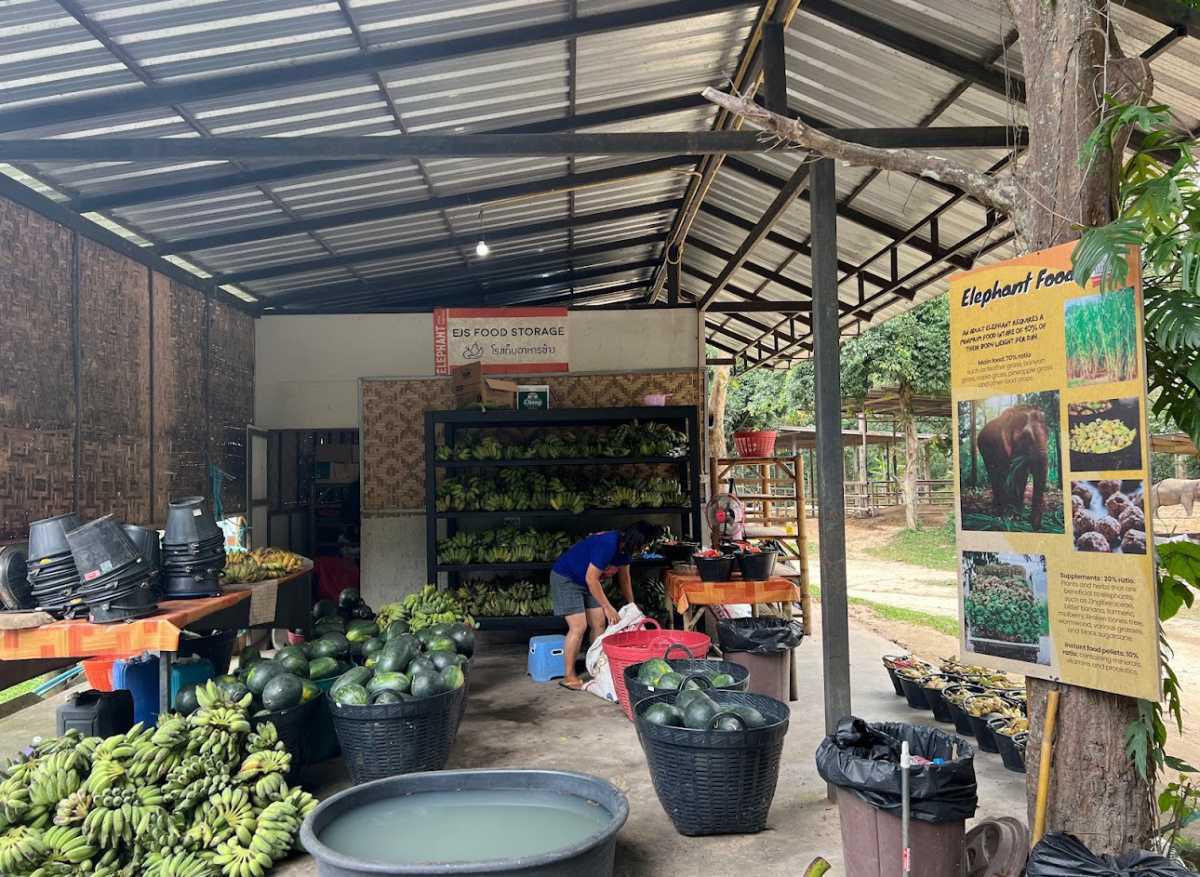 ELEPHANT HOME • FULL DAY ELEPHANT HOME • FULL DAY